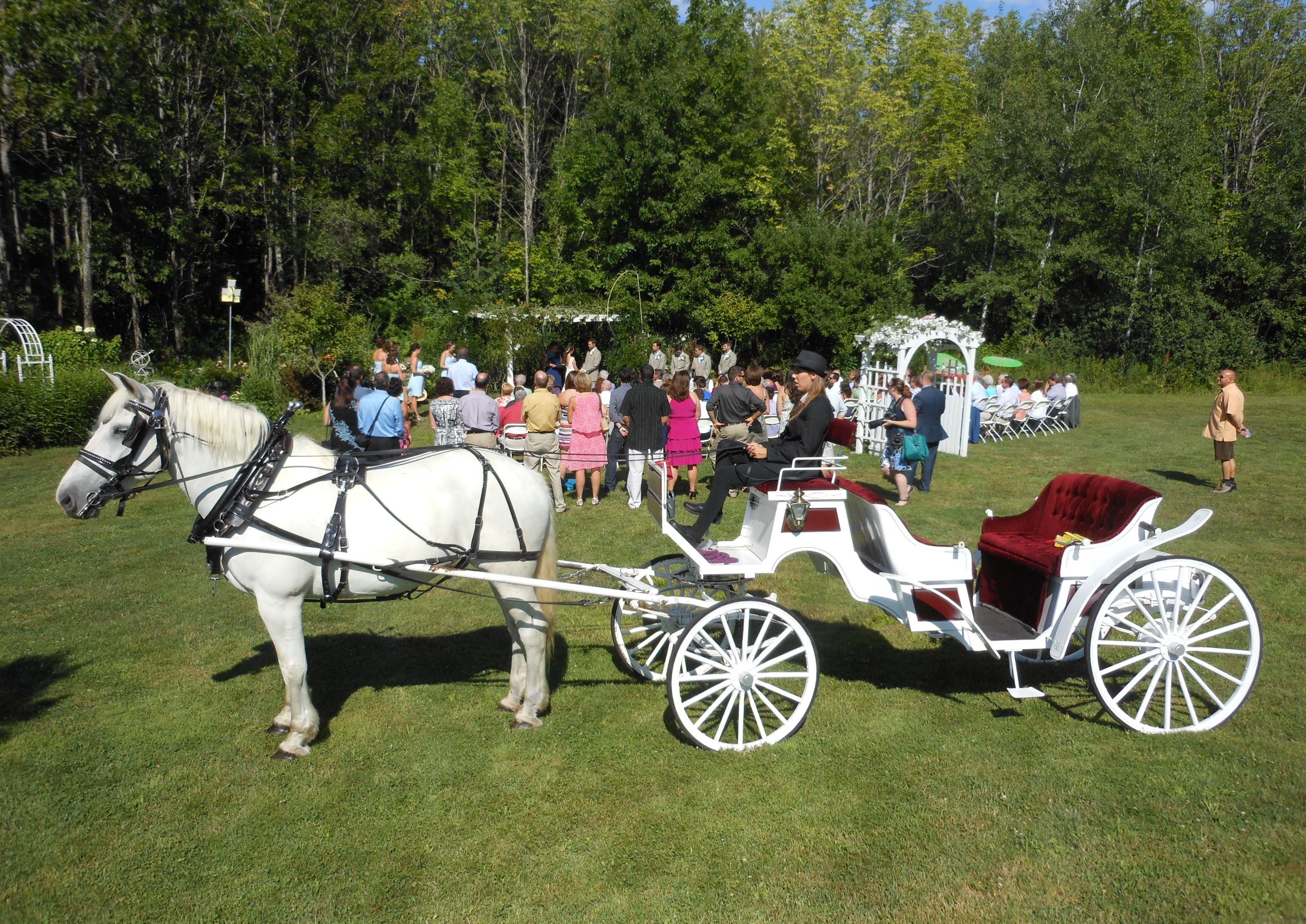 carousel horse farm carriage and sleigh rides in