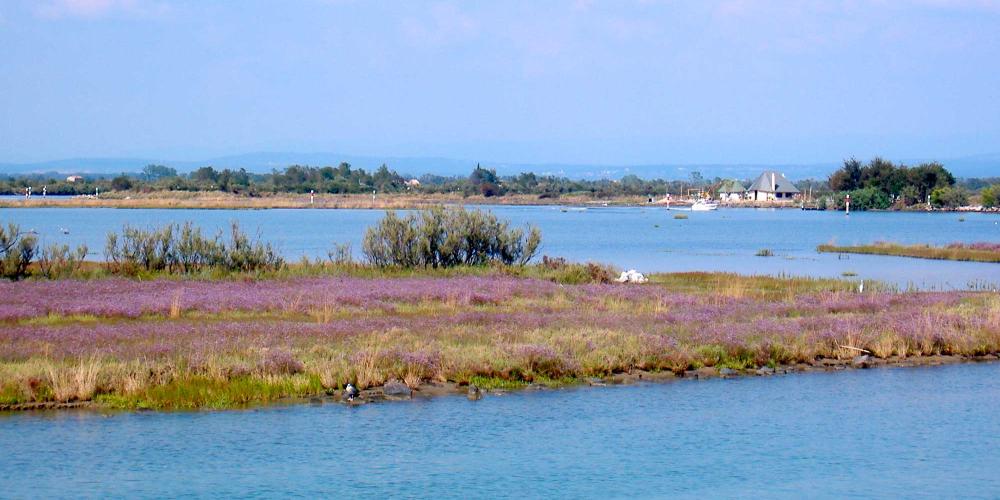 One of many islands in Grado Lagoon, with traditional casoni fishing huts in the background. – © F.giusto / Wikimedia One of many islands in Grado Lagoon, with traditional casoni fishing huts in the background. – © F.giusto / Wikimedia