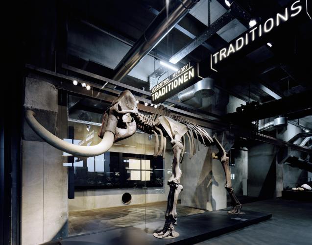 The permanent exhibition of the Ruhr Museum shows the region’s natural and cultural history, from the history of the Earth and industrialisation to the present. – © Brigida González / Ruhr Museum