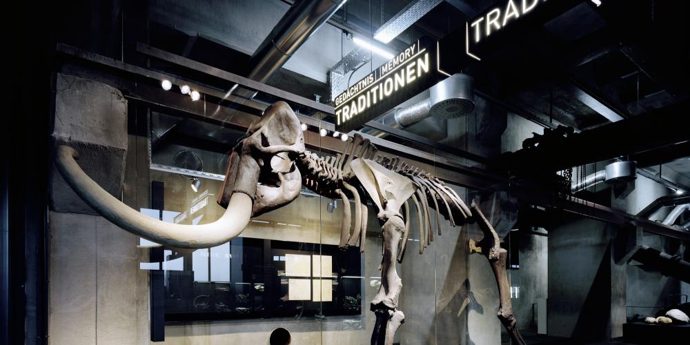 The permanent exhibition of the Ruhr Museum shows the region’s natural and cultural history, from the history of the Earth and industrialisation to the present. – © Brigida González / Ruhr Museum The permanent exhibition of the Ruhr Museum shows the region’s natural and cultural history, from the history of the Earth and industrialisation to the present. – © Brigida González / Ruhr Museum