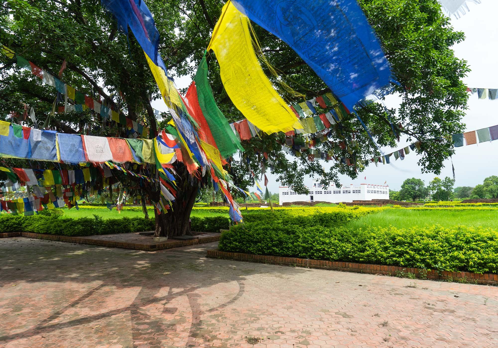 In the serene natural setting of the Sacred Garden, ancient shrines and religious buildings blend together with modern spiritual iconography. – © Michael Turtle