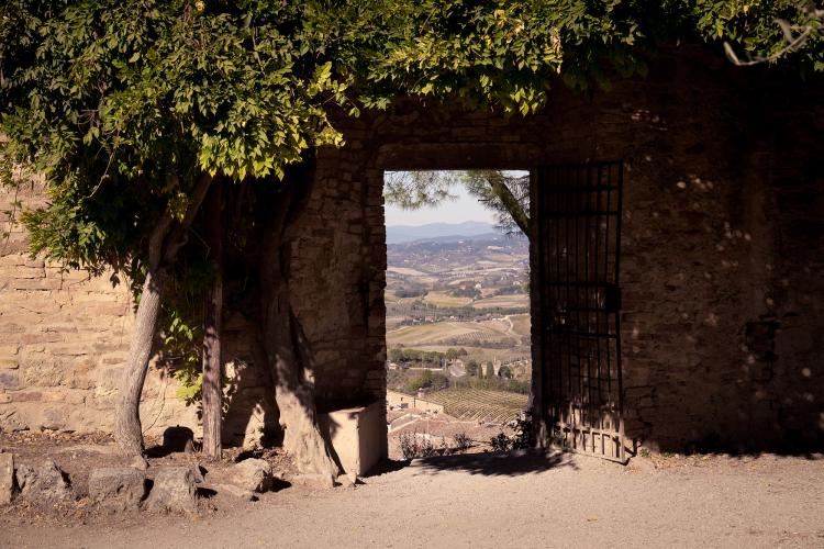 Wine is culture, and a glass of Vernaccia di San Gimignano contains centuries of history, traditions, skill, art, and land-mastery. – © Andrea Miserocchi / Italian Stories