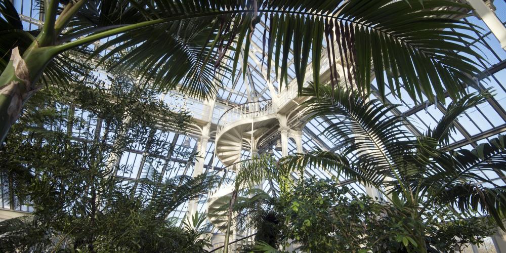 Built in 1863, Temperate House is the world’s largest Victorian glasshouse. – © RBG Kew
