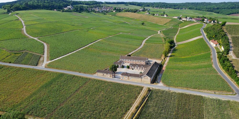 Historic hillside vineyards of Hautvillers. – © Michel Jolyot