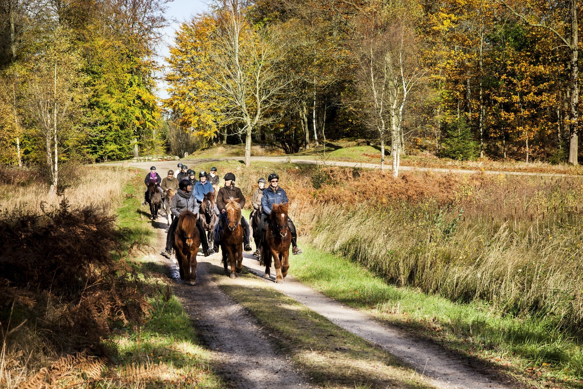 Horse riding World Heritage Journeys of Europe