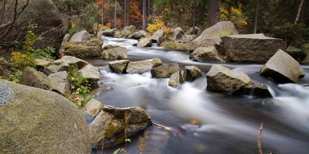 Vous découvrirez de superbes rivières et une flore très variée dans les forêt du Harz. – © GOSLAR marketing gmbh