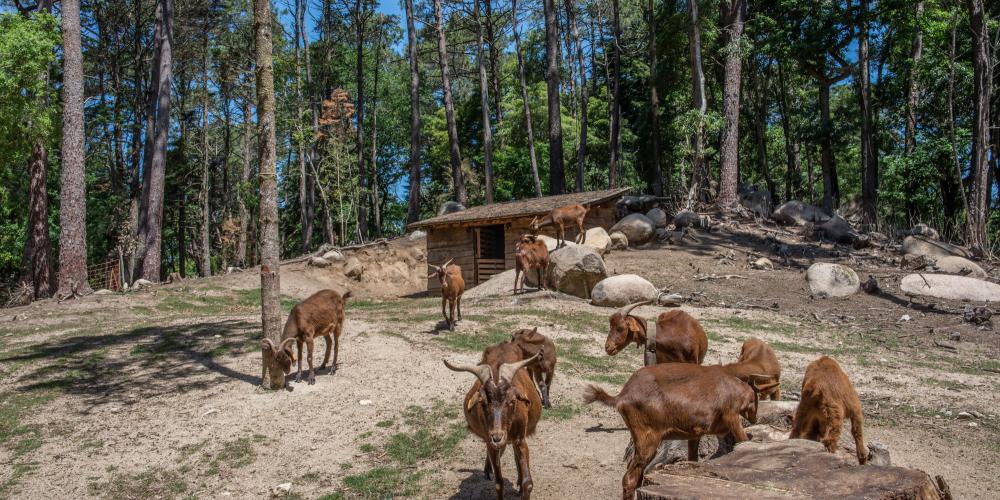 Around the Stables, there are pens for farm animals and a meadow with picnic and rest areas. – © PSML / Jonas Tavares Around the Stables, there are pens for farm animals and a meadow with picnic and rest areas. – © PSML / Jonas Tavares
