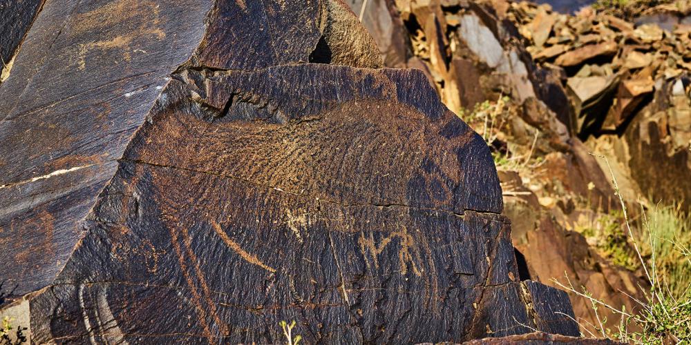 © tamgaly@mail.ru © tamgaly@mail.ru