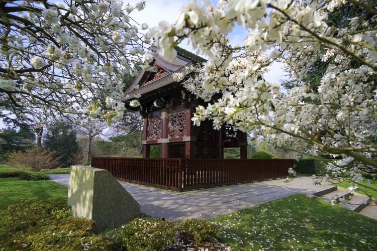 日本花园为完善敕使门（日式门）而建，由三处园林组成，景观精致细腻。 – © RBG Kew