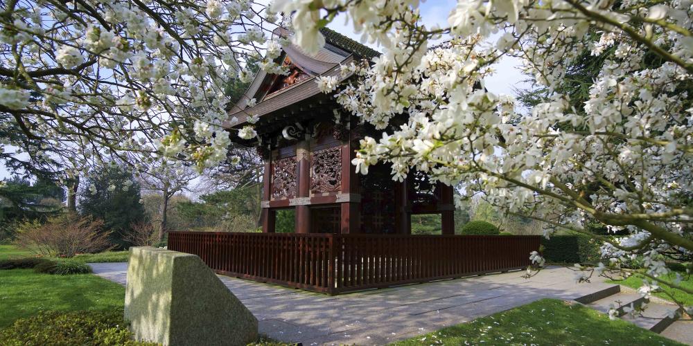 Le jardin japonais - un paysage manucuré qui comporte trois zones de jardin créées pour compléter le Chokushi-Mon (la porte japonaise) – © RBG Kew