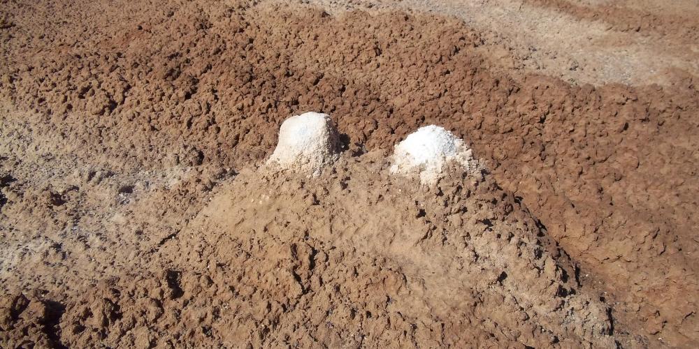 White rocky sediments. – © Mehran Maghsoudi White rocky sediments. – © Mehran Maghsoudi