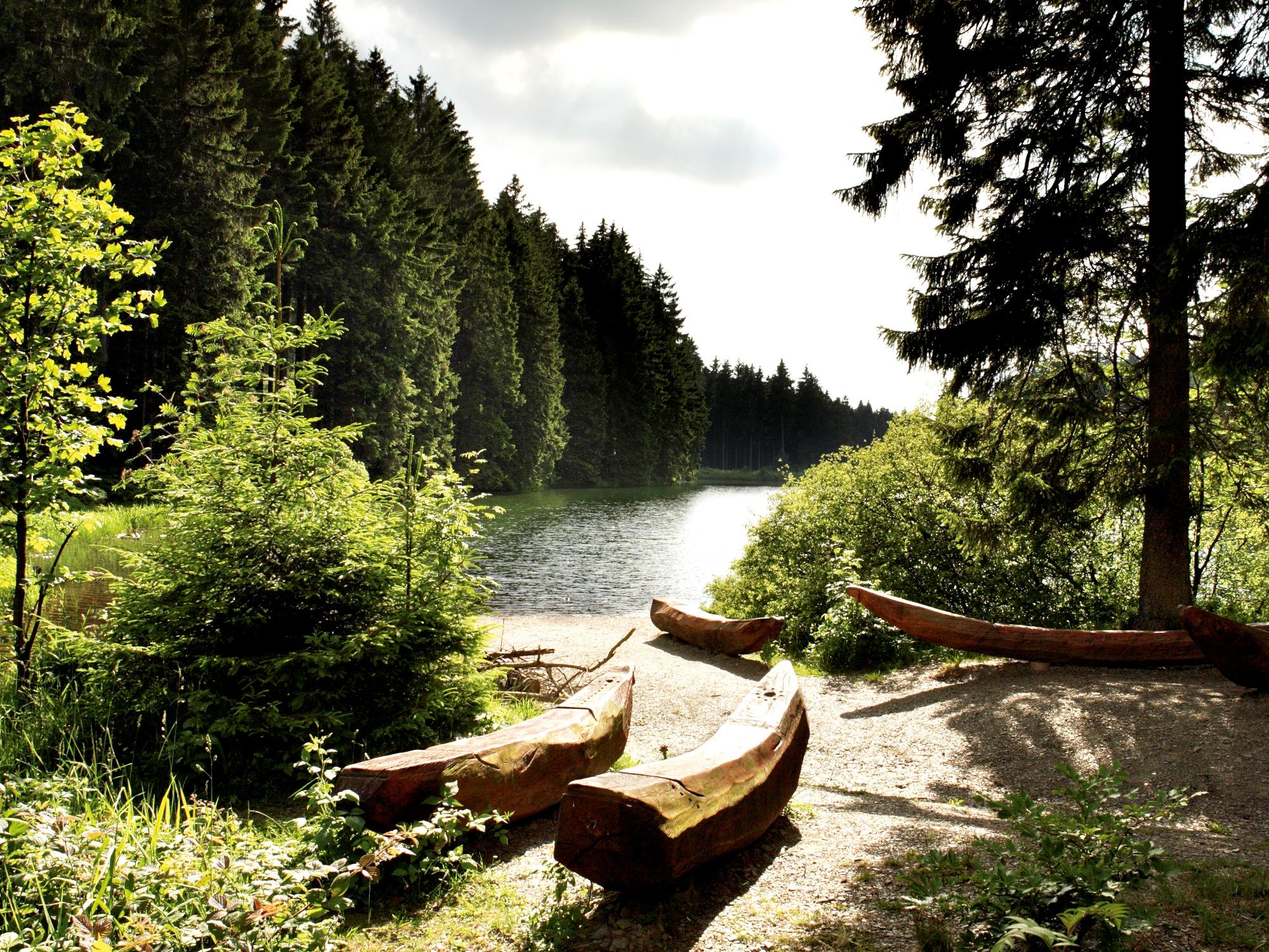 The Liebesbank trail in Goslar-Hahnenklee awaits you with welcoming benches and spots where you can take a rest. – © Stefan Schiefer / GOSLAR marketing gmbh