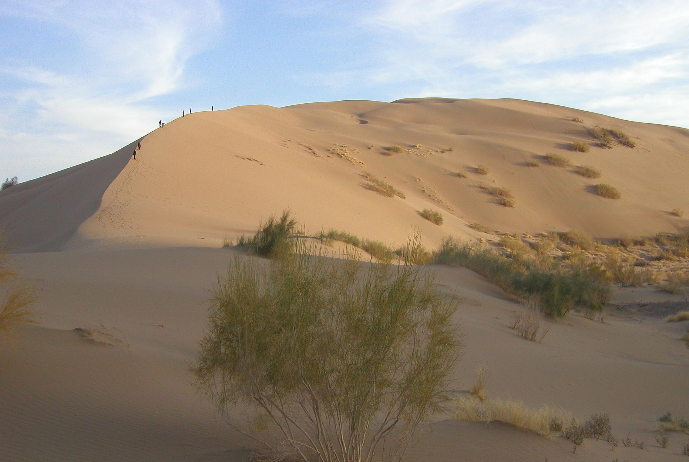 Altyn-Emel singing dune – © A. Kovshar