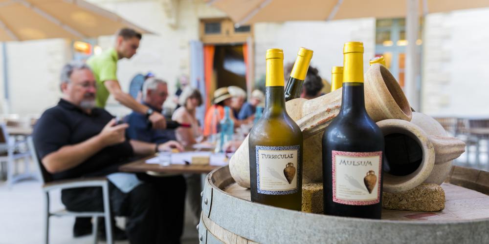 Réveillez vos papilles et découvrez les secrets de la vinification romaine. – © Aurelio Rodriguez Réveillez vos papilles et découvrez les secrets de la vinification romaine. – © Aurelio Rodriguez