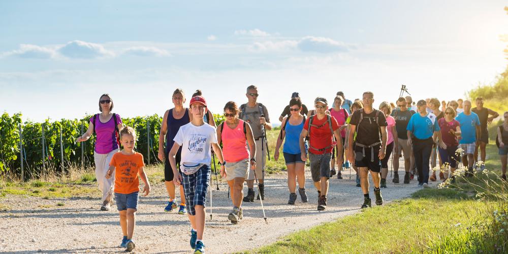 The Walk of Reconciliation in the heart of the Champagne vineyard. – © Sylvain Sonnet / Collection Coteaux, Maisons et Caves de Champagne The Walk of Reconciliation in the heart of the Champagne vineyard. – © Sylvain Sonnet / Collection Coteaux, Maisons et Caves de Champagne