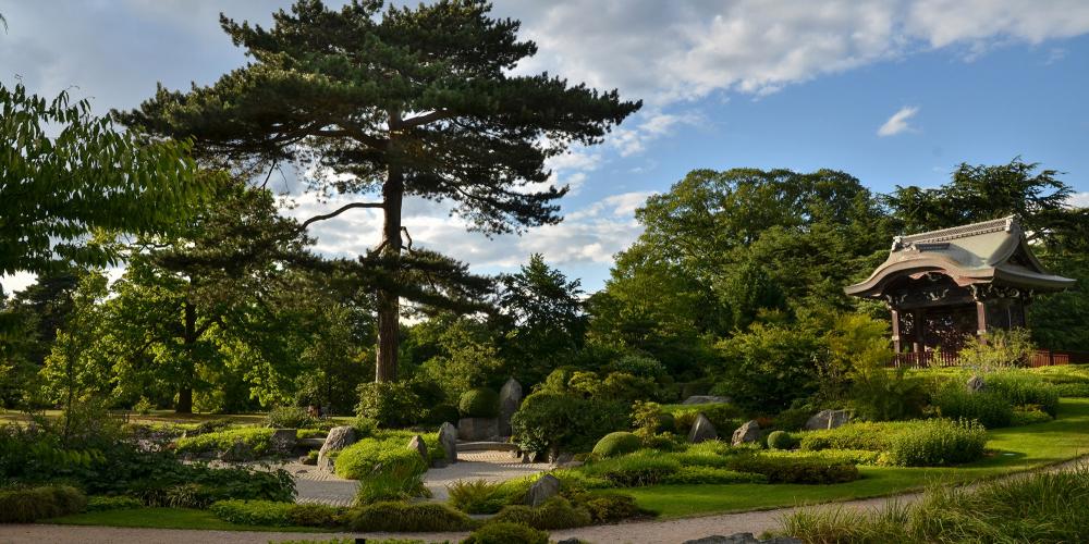 The Japanese garden - a highly manicured landscape comprised of three garden areas and created to complement the Chokushi-Mon (Japanese Gateway). – © Cristian Gusa / Shutterstock