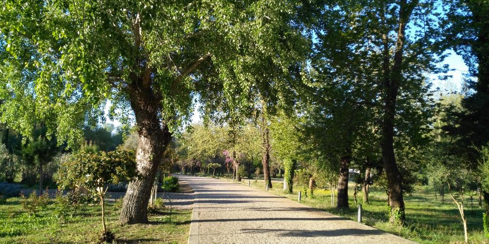 The Olympic Truce Grove, an area of exceptional natural beauty between the Kronion Hill and the Kladeos River, adjacent to the Olympic Botanical Garden in Olympia. – © Konstantinos Antonopoulos