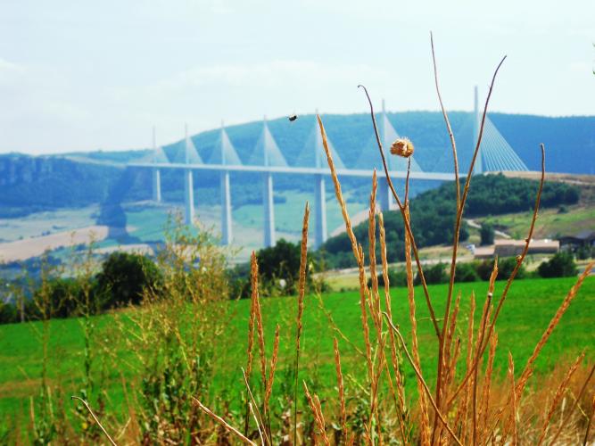 The Millau Viaduct, an exceptional structure rised majestically above the Tarn valley – © D.Becker