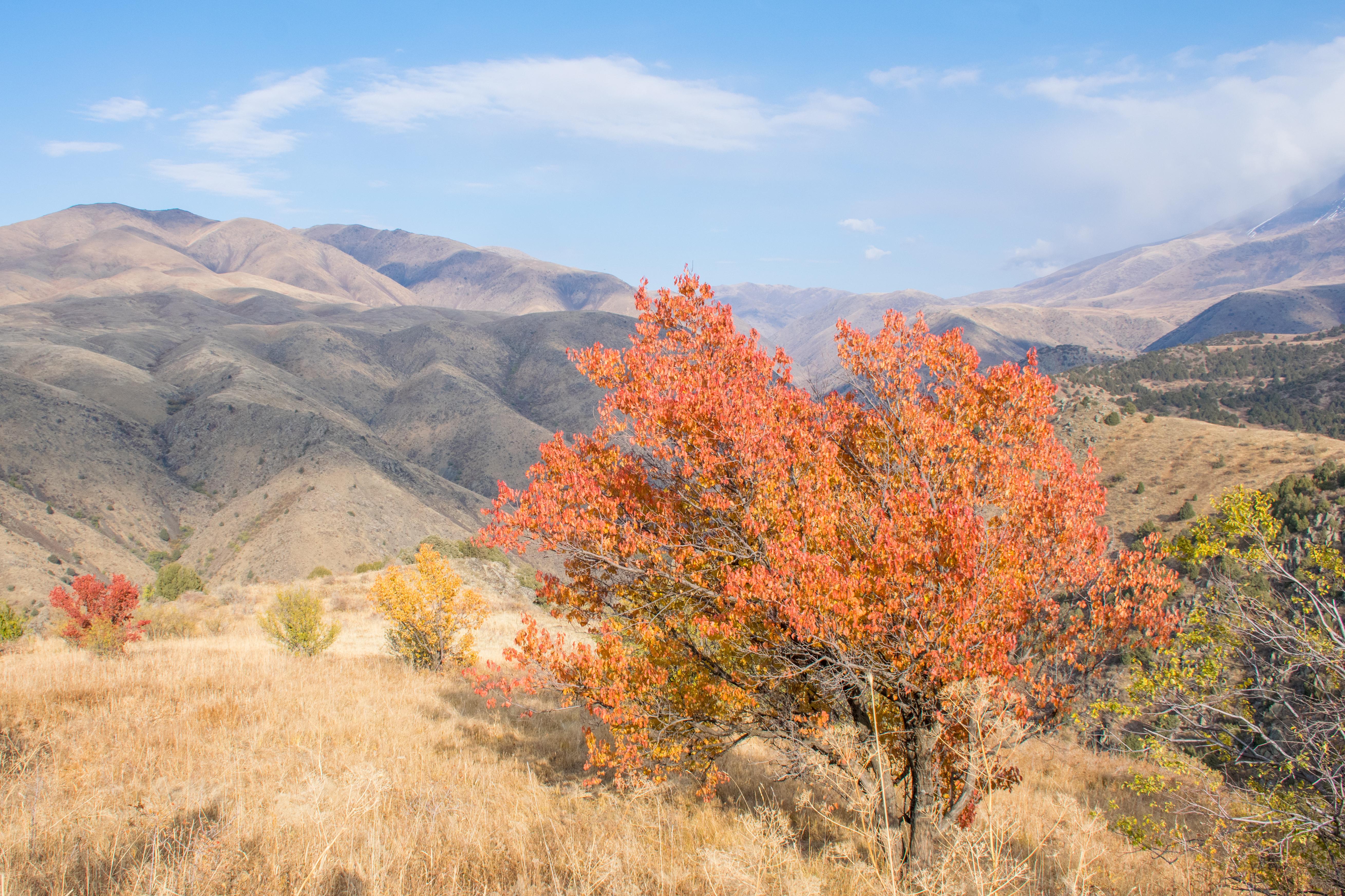 © Almazoff / Shutterstock