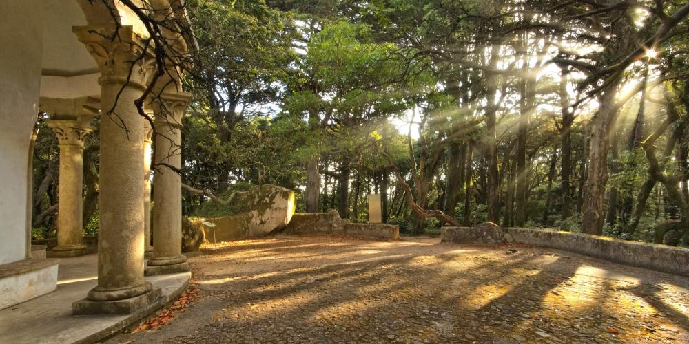 The exotic arboretum frames pavilions and small buildings, creating a scene of sublime natural beauty and historical and cultural relevance. – © PSML / EMIGUS The exotic arboretum frames pavilions and small buildings, creating a scene of sublime natural beauty and historical and cultural relevance. – © PSML / EMIGUS