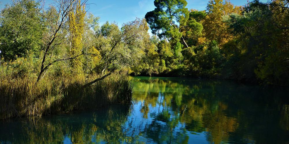 Il est facile de se laisser charmer par la végétation luxuriante et exotique le long de la rivière. – © Joaquín Álvarez