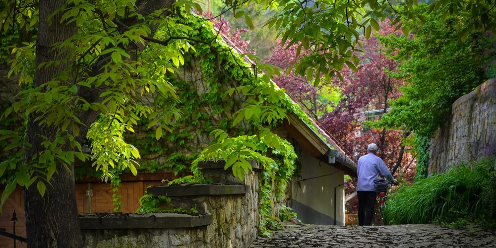 With history, beauty, and hospitality to rival any place on the planet, Hungary's Tokaj Wine Region beckons visitors to imbibe authentic travel at its source. – © Olga Koberidze / Shutterstock With history, beauty, and hospitality to rival any place on the planet, Hungary's Tokaj Wine Region beckons visitors to imbibe authentic travel at its source. – © Olga Koberidze / Shutterstock