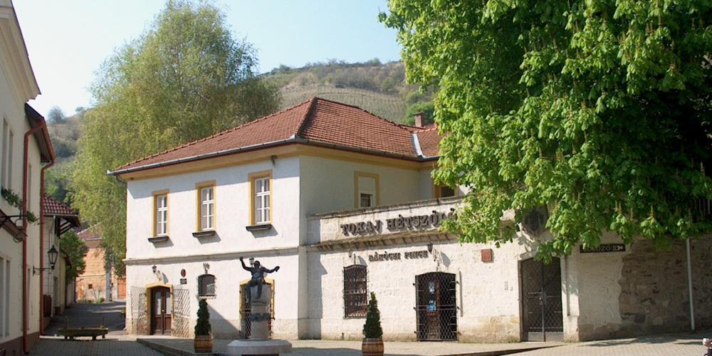 The front entrance of historical Tokaji Rákóczi Cellar which dates back to the
15th century. It got its name from one of the most famous and important
Hungarian aristocrat family, Rákóczi. – © Ako Steszár The front entrance of historical Tokaji Rákóczi Cellar which dates back to the
15th century. It got its name from one of the most famous and important
Hungarian aristocrat family, Rákóczi. – © Ako Steszár