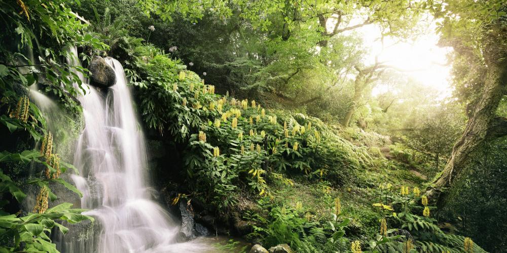 Les jardins de Monserrate reflètent les diverses origines des plantes et forment différents paysages le long de chemins joignant ruines, recoins, lacs et cascades. – © PSML / EMIGUS Les jardins de Monserrate reflètent les diverses origines des plantes et forment différents paysages le long de chemins joignant ruines, recoins, lacs et cascades. – © PSML / EMIGUS