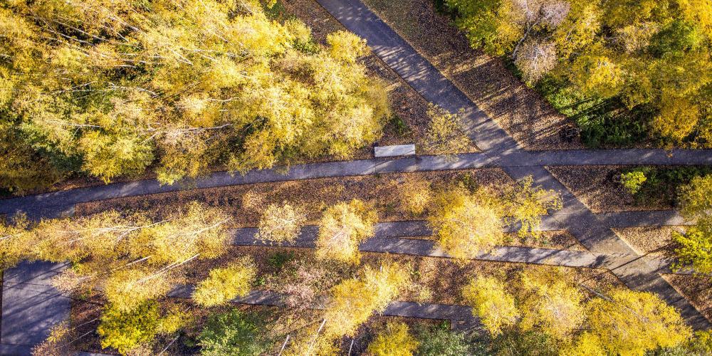 Indian Summer in the Zollverein Park: the industrial nature is attractive not only in spring and summer. – © Jochen Tack / Zollverein Foundation