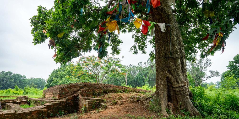 The eastern gate of the city of Kapilavastu, where Prince Siddhartha left with his charioteer, Channa, and his favourite horse to pursue the life of an ascetic monk. – © Michael Turtle The eastern gate of the city of Kapilavastu, where Prince Siddhartha left with his charioteer, Channa, and his favourite horse to pursue the life of an ascetic monk. – © Michael Turtle
