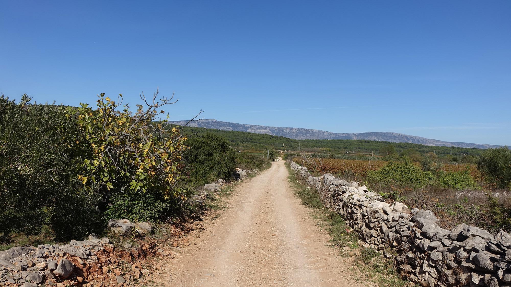 La plaine de Stari Grad a été divisée par des murs de pierre en parcelles de terres agricoles il y a plus de deux millénaires. – © Stari Grad Plain