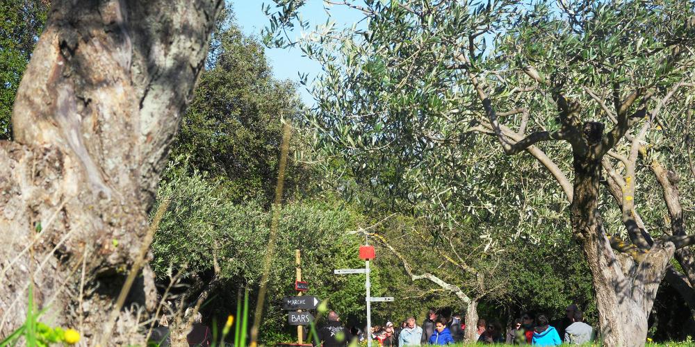 Garrigue en Fête: An event to savour the arrival of the beautiful days! – © EPCC Pont du Gard Garrigue en Fête: An event to savour the arrival of the beautiful days! – © EPCC Pont du Gard