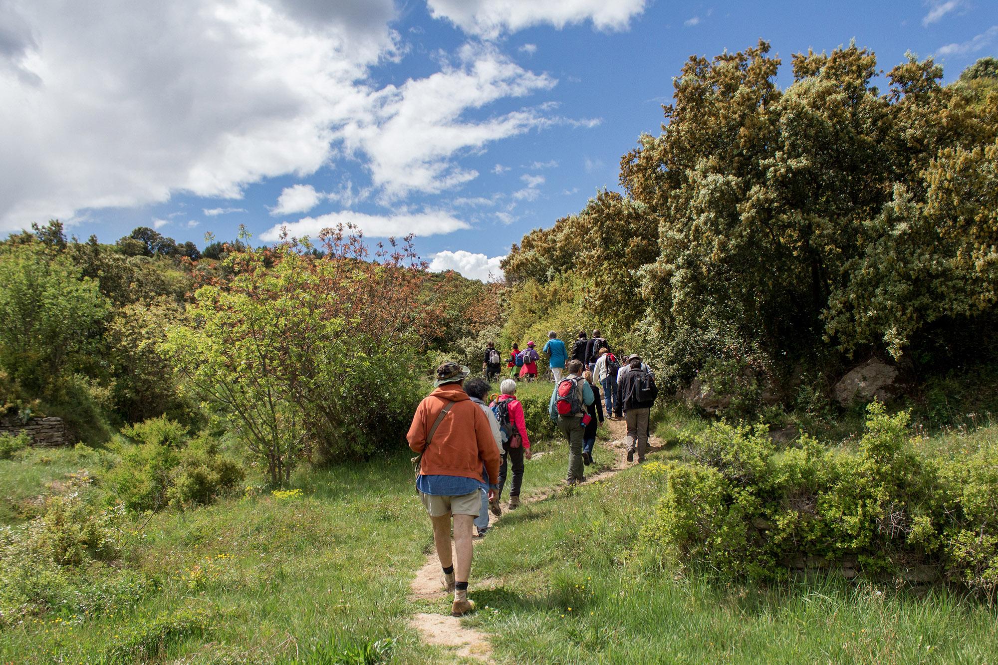 150 km de sentiers balisés autour des Gorges du Gardon. – © A. Mendoza / SMGG