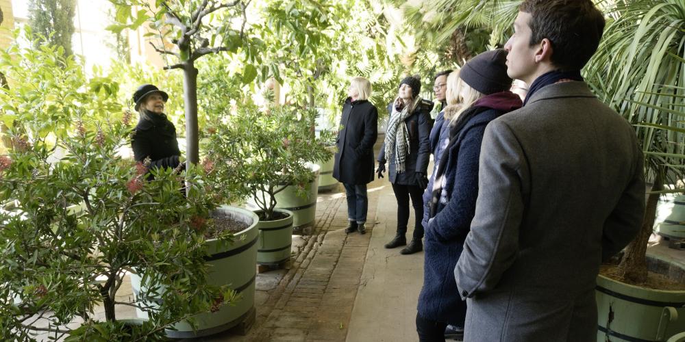 Palmiers, agaves, lauriers et orangers ornent les jardins du palais de Sanssouci en été. Bien protégés, ils passent l'hiver dans une orangerie de plus de 300 mètres de long, que le roi Frédéric-Guillaume IV a faite construite à partir de ses propres dessins. – © P. Pasler/SPSG