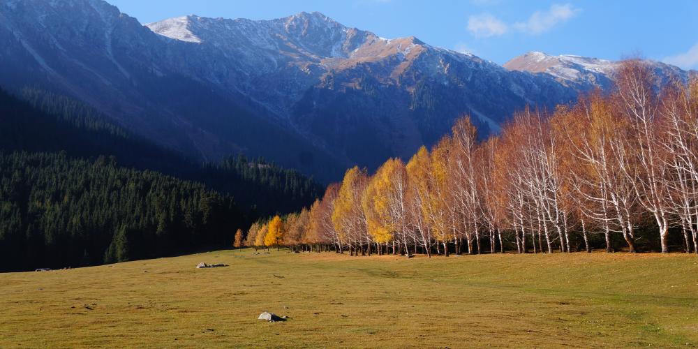 Beautiful scenery with green fields, forests, and mountains on an autumn day in Kyrgyzstan – Photo by Helen Turner Beautiful scenery with green fields, forests, and mountains on an autumn day in Kyrgyzstan – Photo by Helen Turner