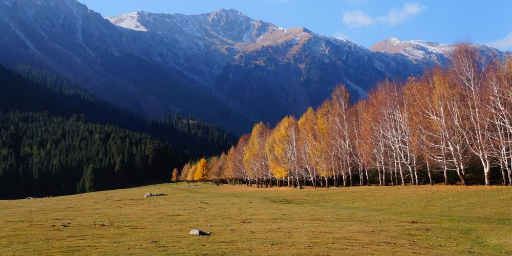 Beautiful scenery with green fields, forests, and mountains on an autumn day in Kyrgyzstan – Photo by Helen Turner
