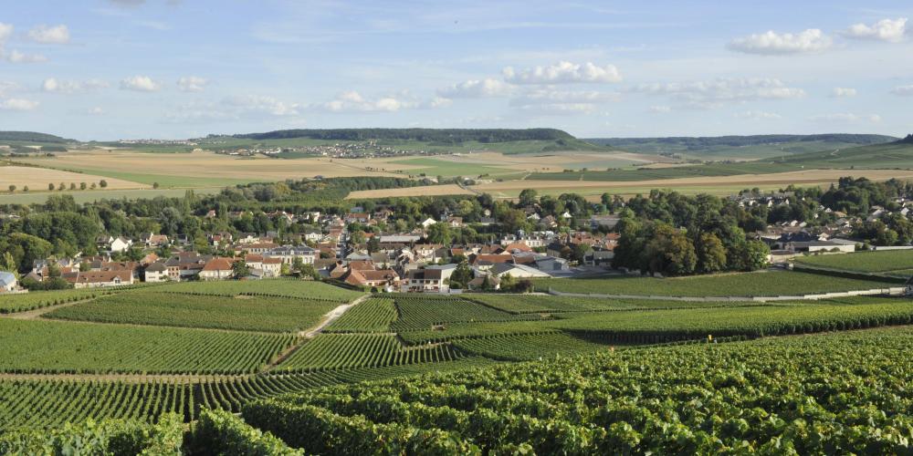 Vignobles et village de Pierry – © Michel Jolyot Vignobles et village de Pierry – © Michel Jolyot