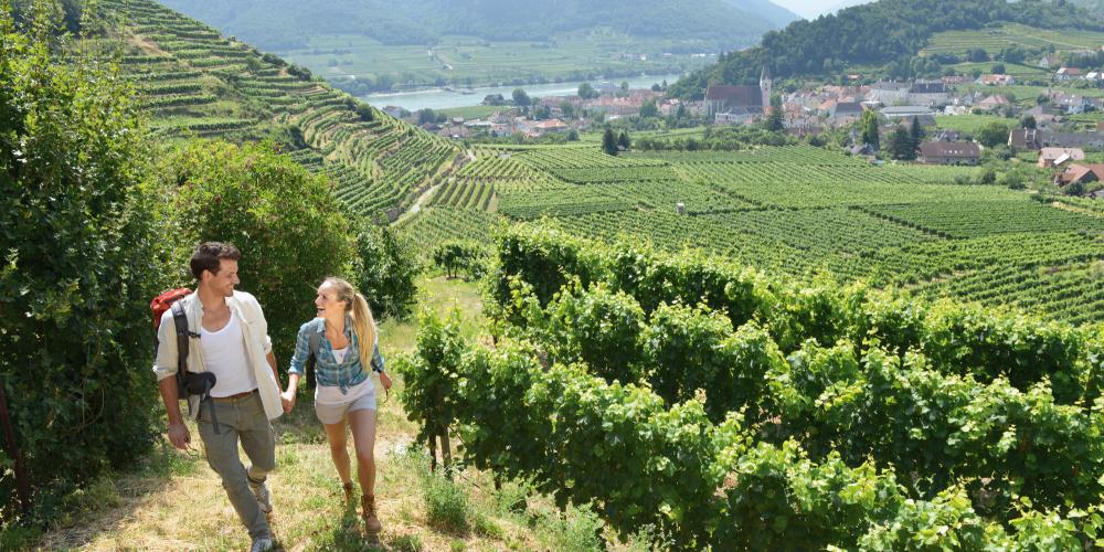 Hike the Wachau World Heritage Trail | World Heritage Journeys of Europe