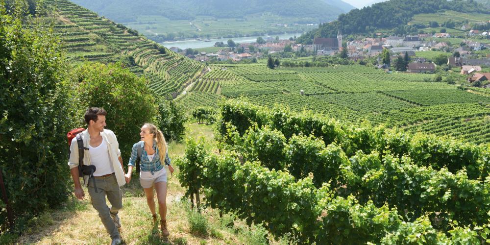 A long hike or just a short walk after a delicious meal—it is just a few steps from the charming villages into the nature. – © Steve Haider / Donau NÖ