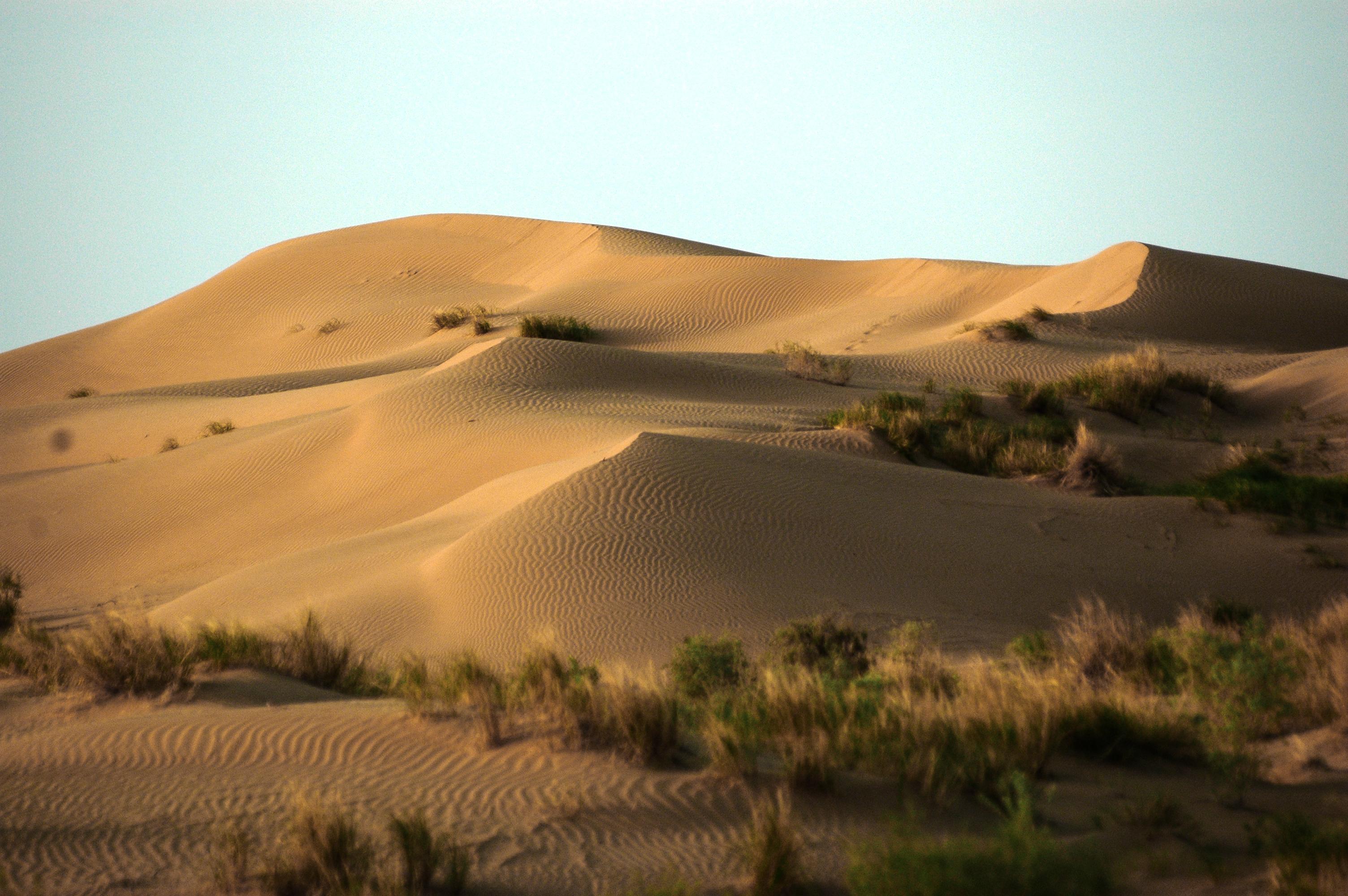 Karakum Desert © Azat80 / Shutterstock