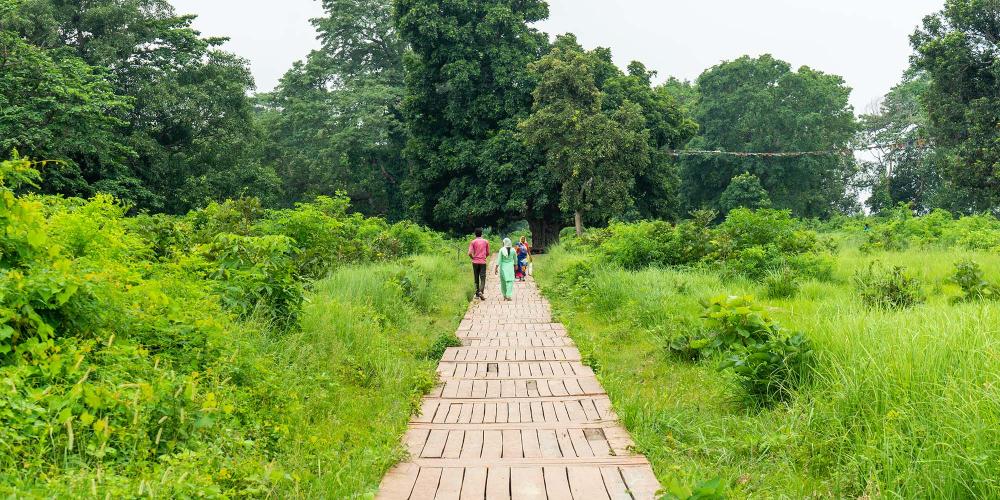 There are walkways leading through the large archaeological site at Tilaurakot, showing the highlights of the excavation work. Much of the site is unexcavated. – © Michael Turtle There are walkways leading through the large archaeological site at Tilaurakot, showing the highlights of the excavation work. Much of the site is unexcavated. – © Michael Turtle
