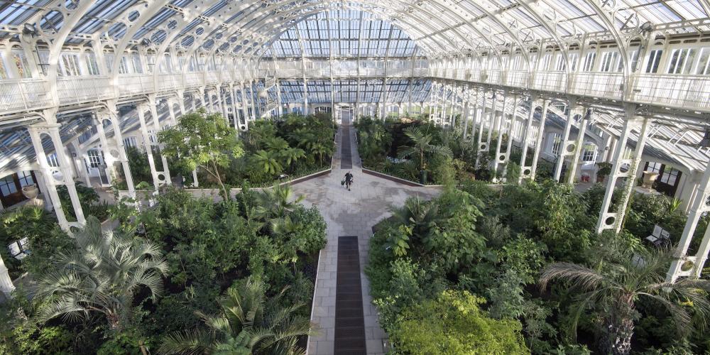 The Temperate House features 1,500 species from five continents and 16 islands. – © RBG Kew The Temperate House features 1,500 species from five continents and 16 islands. – © RBG Kew