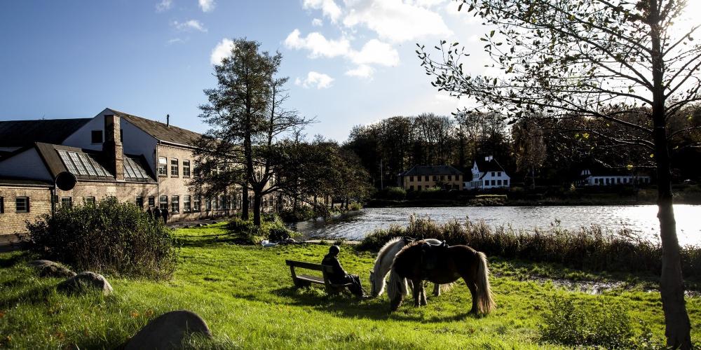 The journey takes you through beautiful places—but it is essential to stop, take a break and enjoy life. – © Sune Magyar / Parforcejagtlandskabet i Nordsjælland