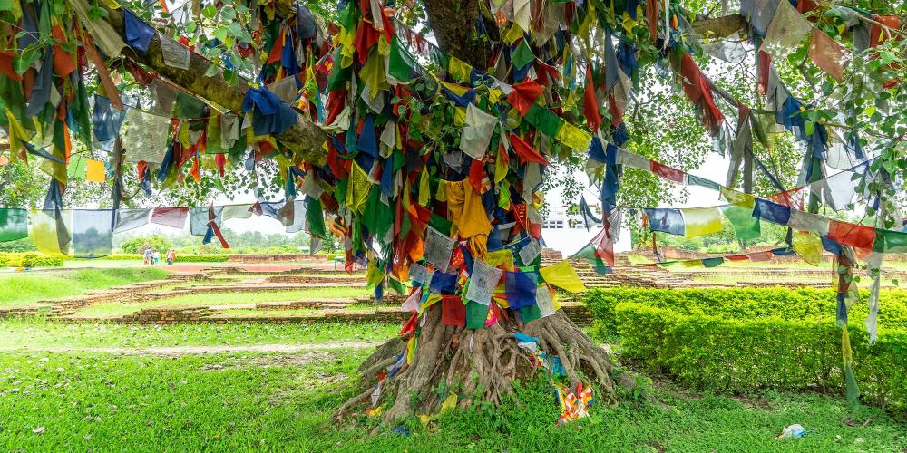 Prayer flags hang from the trees throughout the Sacred Garden. – © Michael Turtle