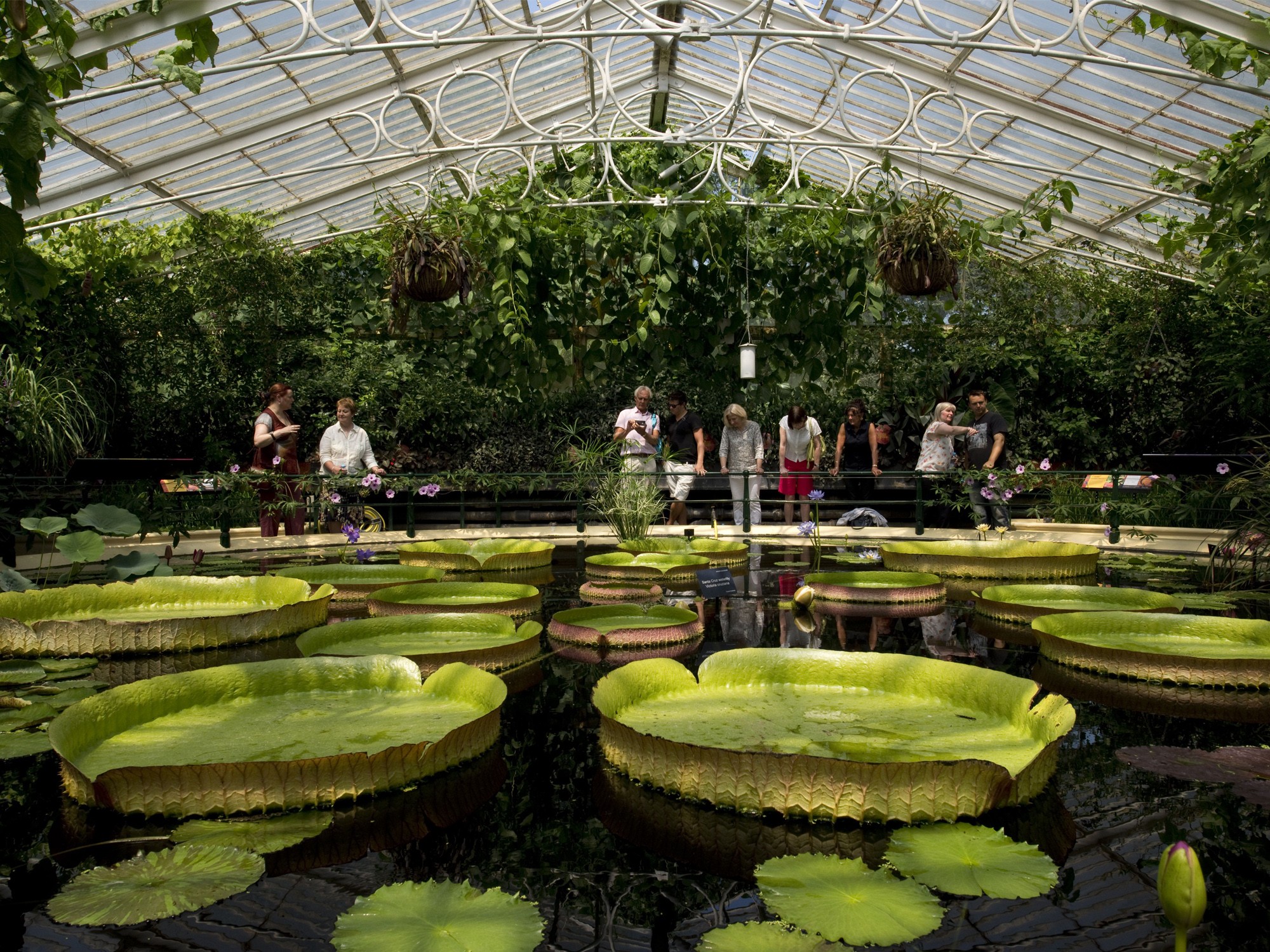The Waterlily House World Heritage Journeys Of Europe