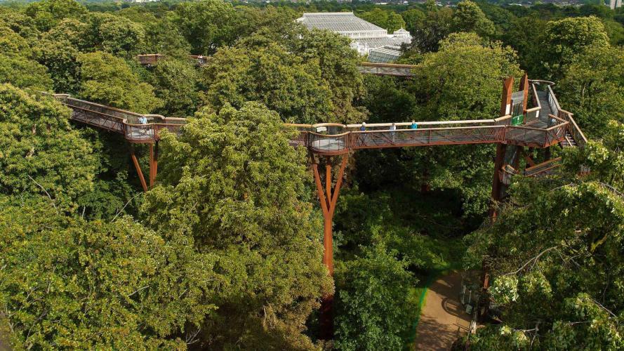攀上这条18米高、200米长、举世无双的“树冠走廊”，俯瞰邱园。 – © Andrew McRobb