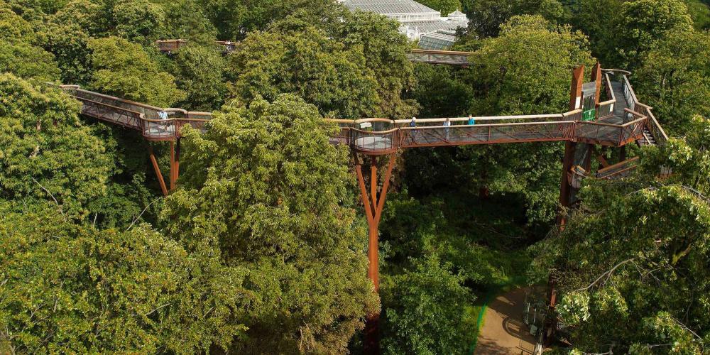 Empruntez cette passerelle unique en son genre, haute de 18 mètres et longue de 200 mètres, pour avoir une vue imprenable sur les jardins. – © Andrew McRobb