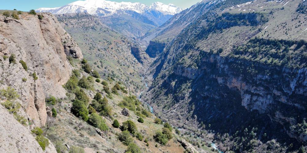 © Nina Alizada / Shutterstock © Nina Alizada / Shutterstock