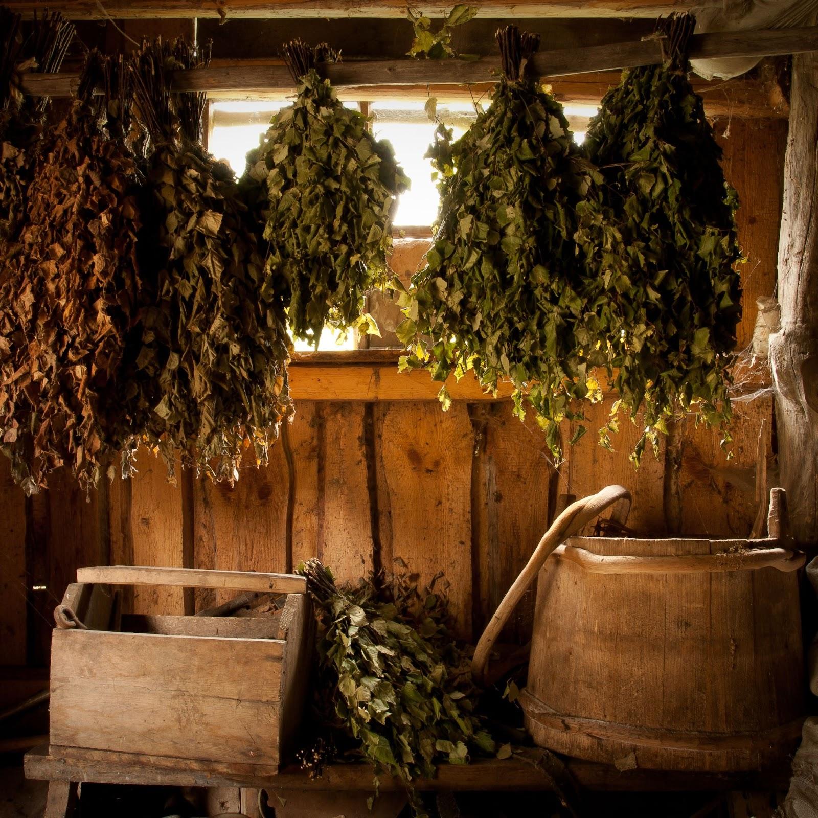 Birch twigs in the Banya © Danishch / Shutterstock