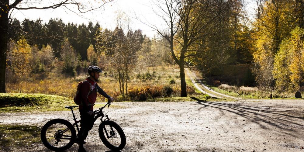Les routes en gravier de l'étoile du Roi dans le Grand Parc aux Cerfs sont idéales pour les promenades à vélo. – © Sune Magyar / Parforcejagtlandskabet i Nordsjælland